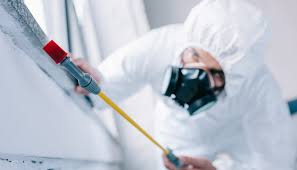 Best Real Estate Pest Inspections  in Seymour, IN